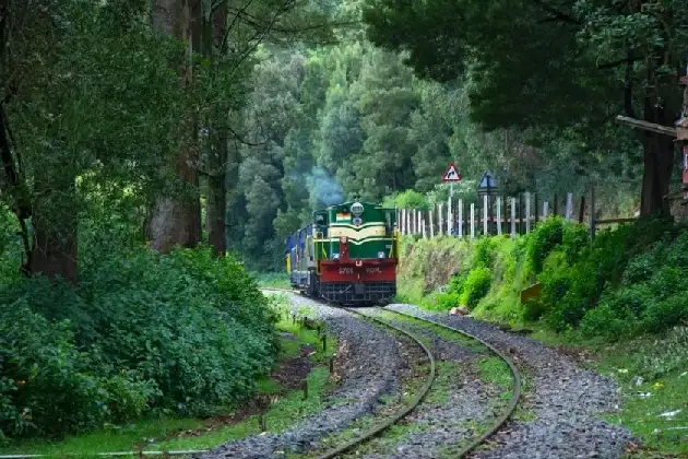 Ooty