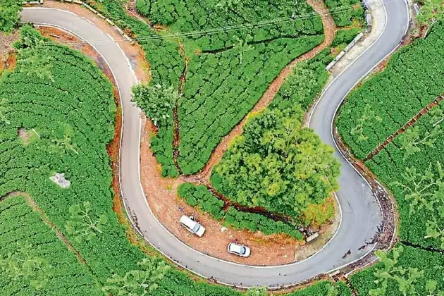 Ooty
