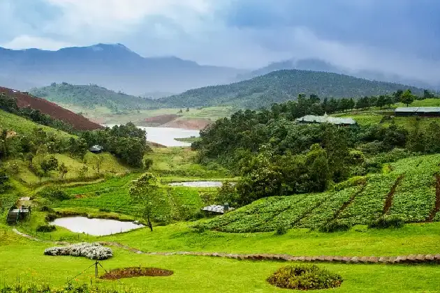 Ooty