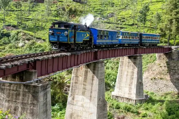Ooty