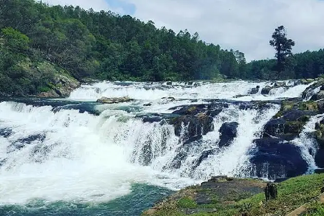 Film Chakkar