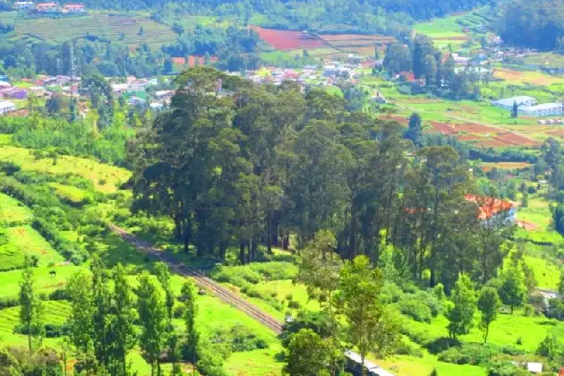 Conoor