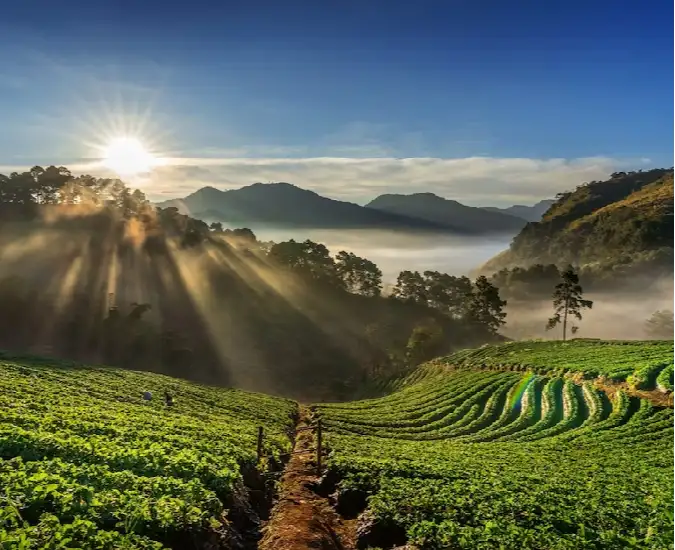 Ooty